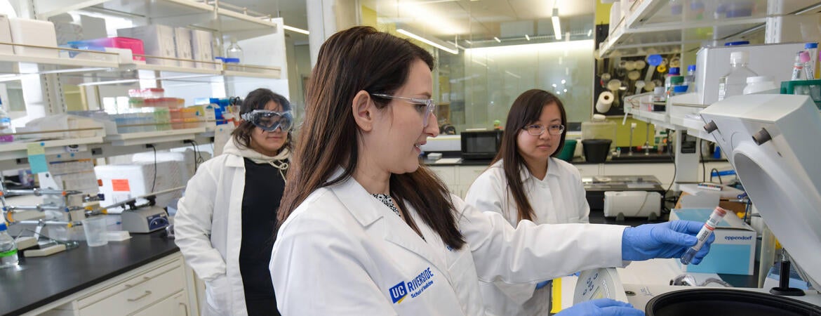 Heinrich lab
