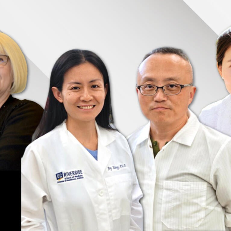 Headshots of dean's collaborative seed grant 2026 winners
